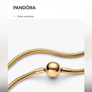 Pandora Snake Chain Necklace
14k gold plating
Retail:$295.00 (0120)